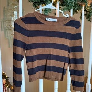 Zara Black and Brown Striped Crop Top